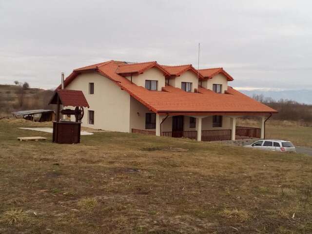 Гостевой дом Casa Vanatorilor Comana de Jos-3